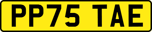 PP75TAE