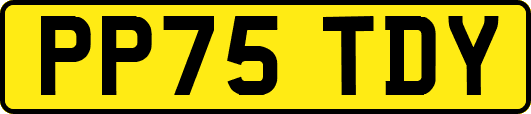 PP75TDY