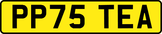 PP75TEA