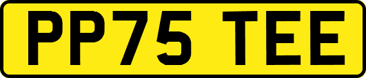 PP75TEE