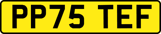 PP75TEF