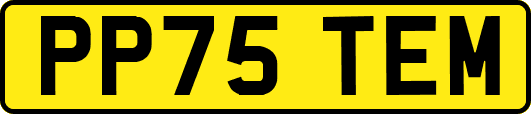 PP75TEM