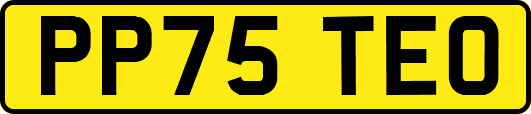 PP75TEO