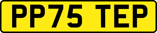 PP75TEP