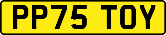 PP75TOY