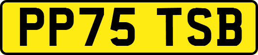 PP75TSB