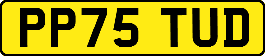 PP75TUD