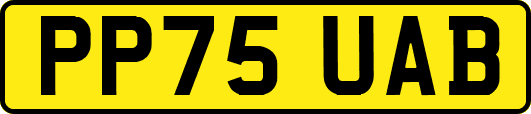 PP75UAB