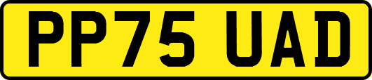 PP75UAD