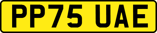 PP75UAE