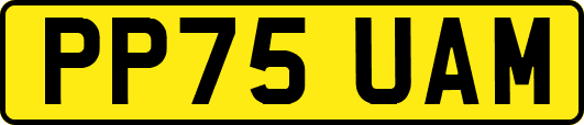 PP75UAM