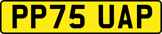 PP75UAP