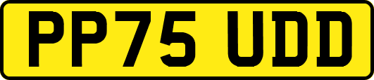 PP75UDD