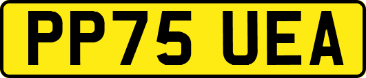PP75UEA
