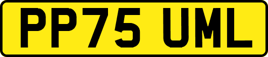 PP75UML