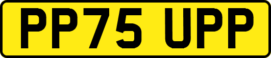 PP75UPP