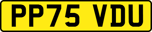 PP75VDU