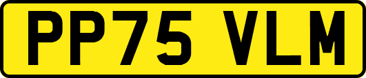 PP75VLM