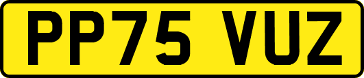 PP75VUZ