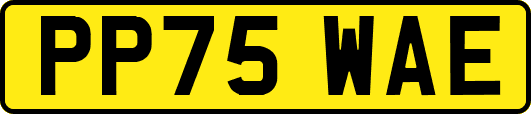 PP75WAE