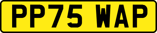 PP75WAP