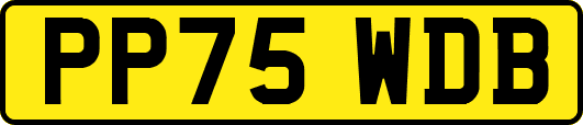 PP75WDB