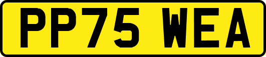 PP75WEA