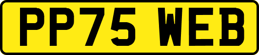 PP75WEB