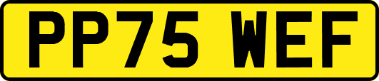 PP75WEF