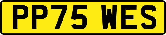 PP75WES