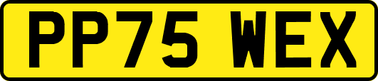 PP75WEX