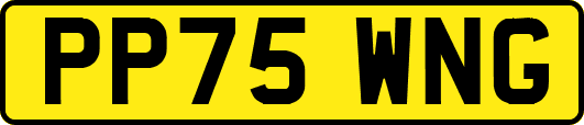 PP75WNG