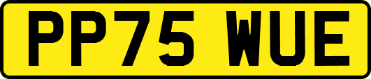 PP75WUE