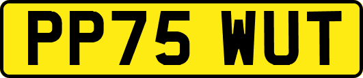 PP75WUT