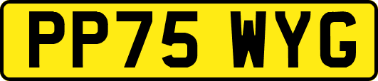 PP75WYG