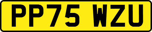 PP75WZU