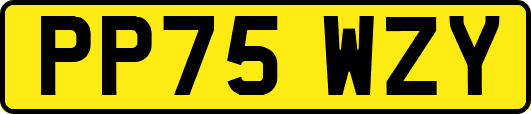 PP75WZY