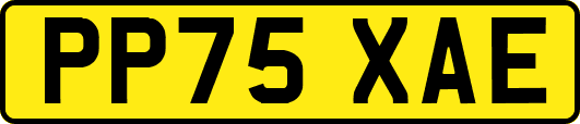 PP75XAE