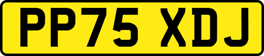 PP75XDJ