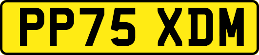 PP75XDM