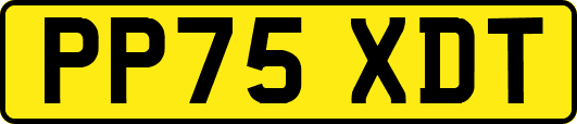 PP75XDT