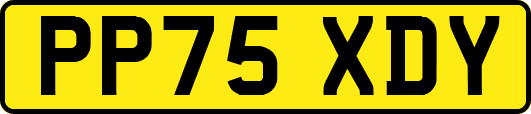 PP75XDY
