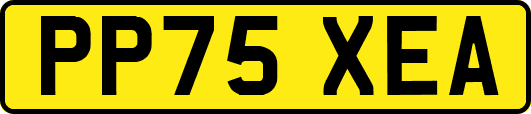 PP75XEA