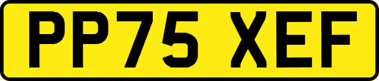 PP75XEF