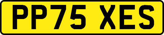 PP75XES
