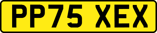 PP75XEX