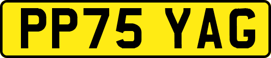 PP75YAG