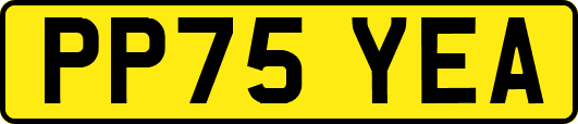 PP75YEA