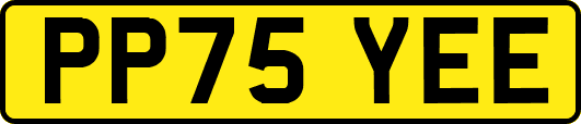 PP75YEE