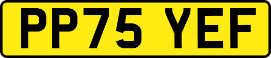 PP75YEF